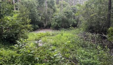 BOGEYCREEK