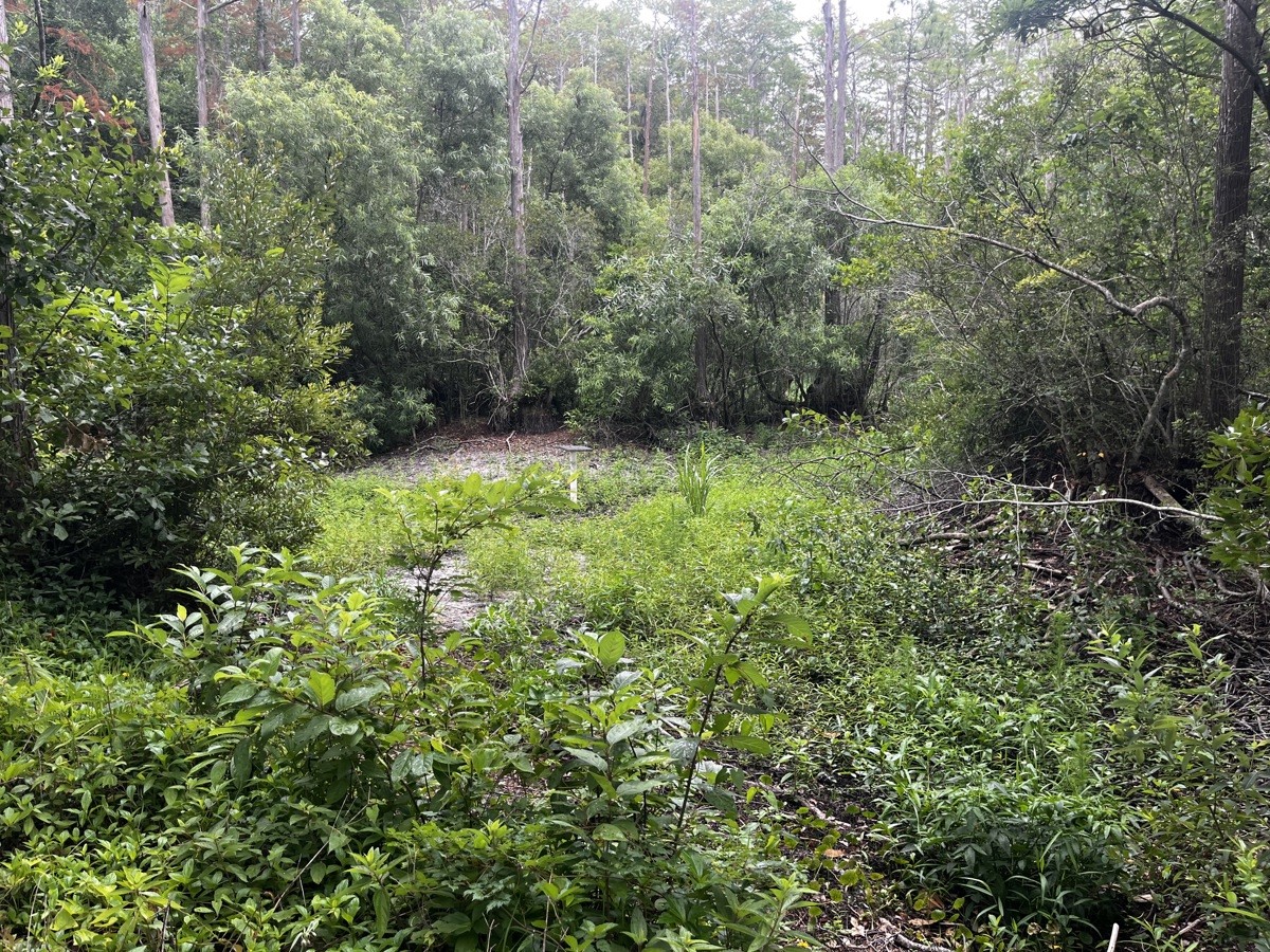 BOGEYCREEK