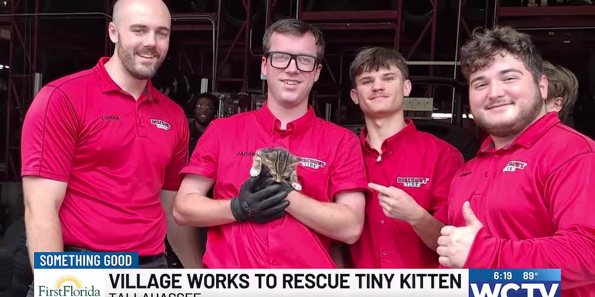 Something Good: Tiny kitten found in truck engine rescued in Tallahassee