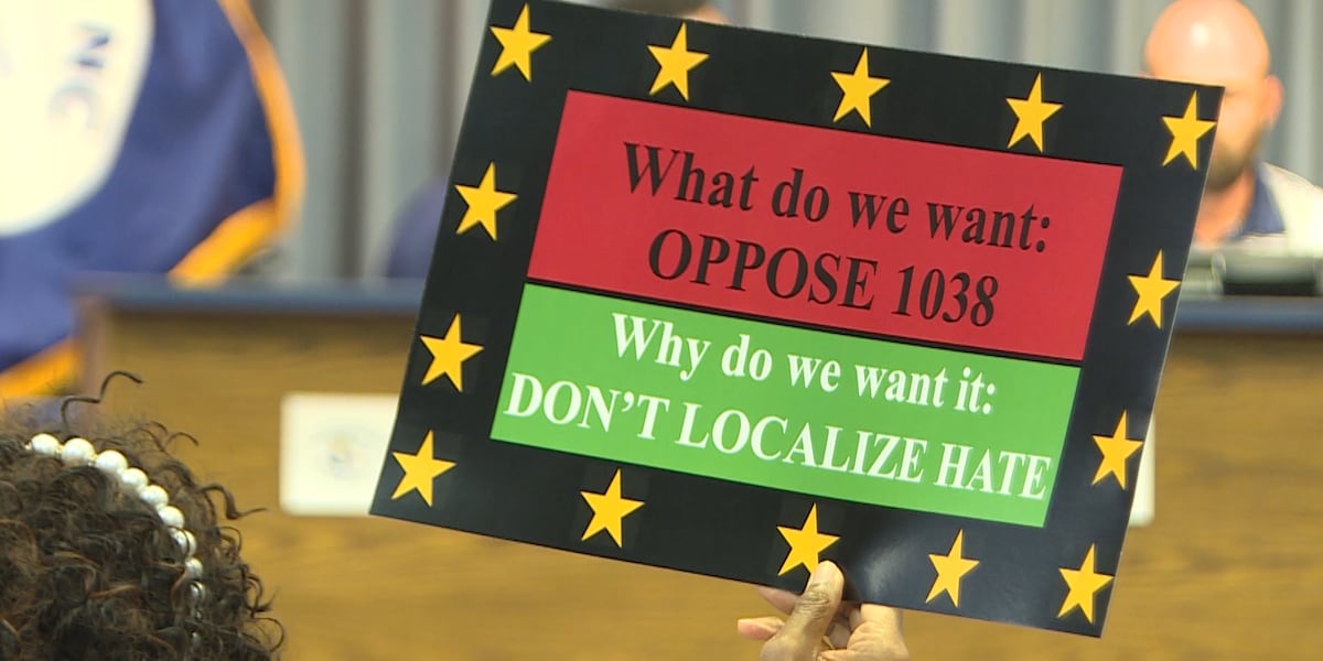 Jacksonville council votes to redraw districts instead of eliminating ward system in response to H.B. 1038 proposal