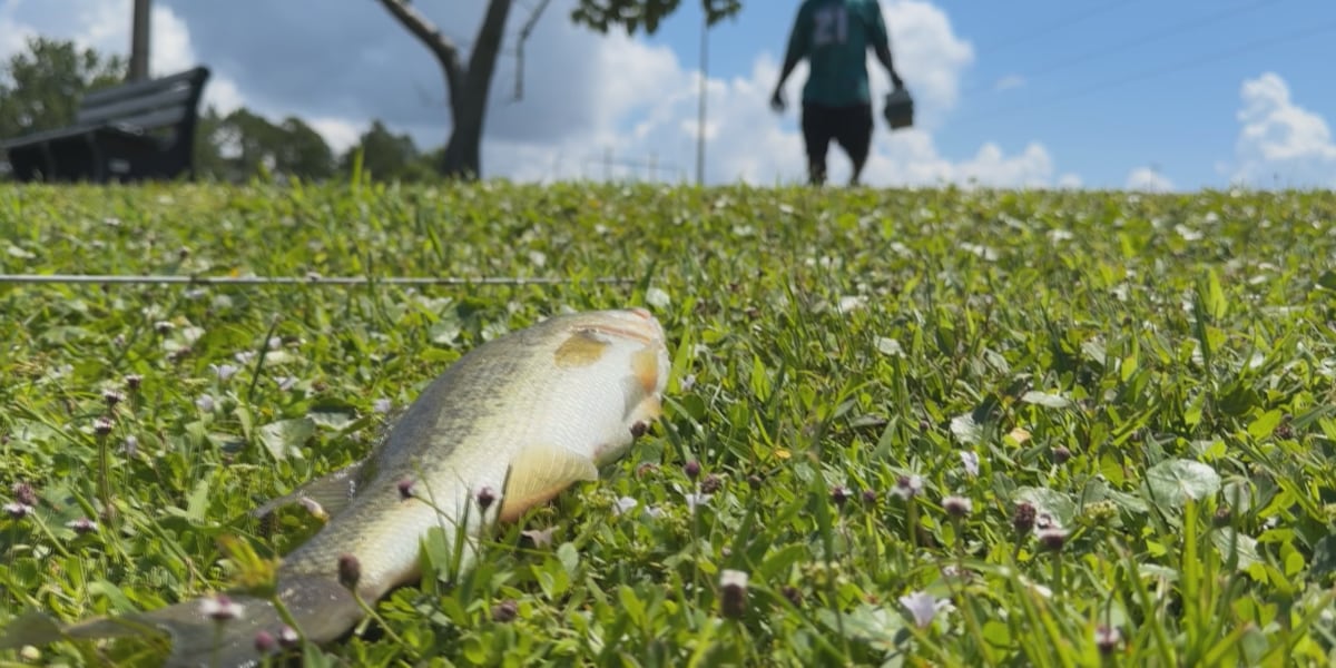 Florida’s license-free freshwater weekend draws anglers to Frank Brown Park