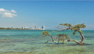 County releases the 2026 Biscayne Bay Report Card