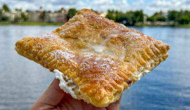 REVIEW: We're SO Sad This New Disney Springs Treat Is Only Around for a Limited Time