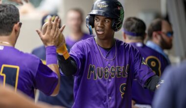 Twins Minor League Report (6/21): Alan Roden and Orlando Arcia, the New Bash Brothers? - Minor Leagues