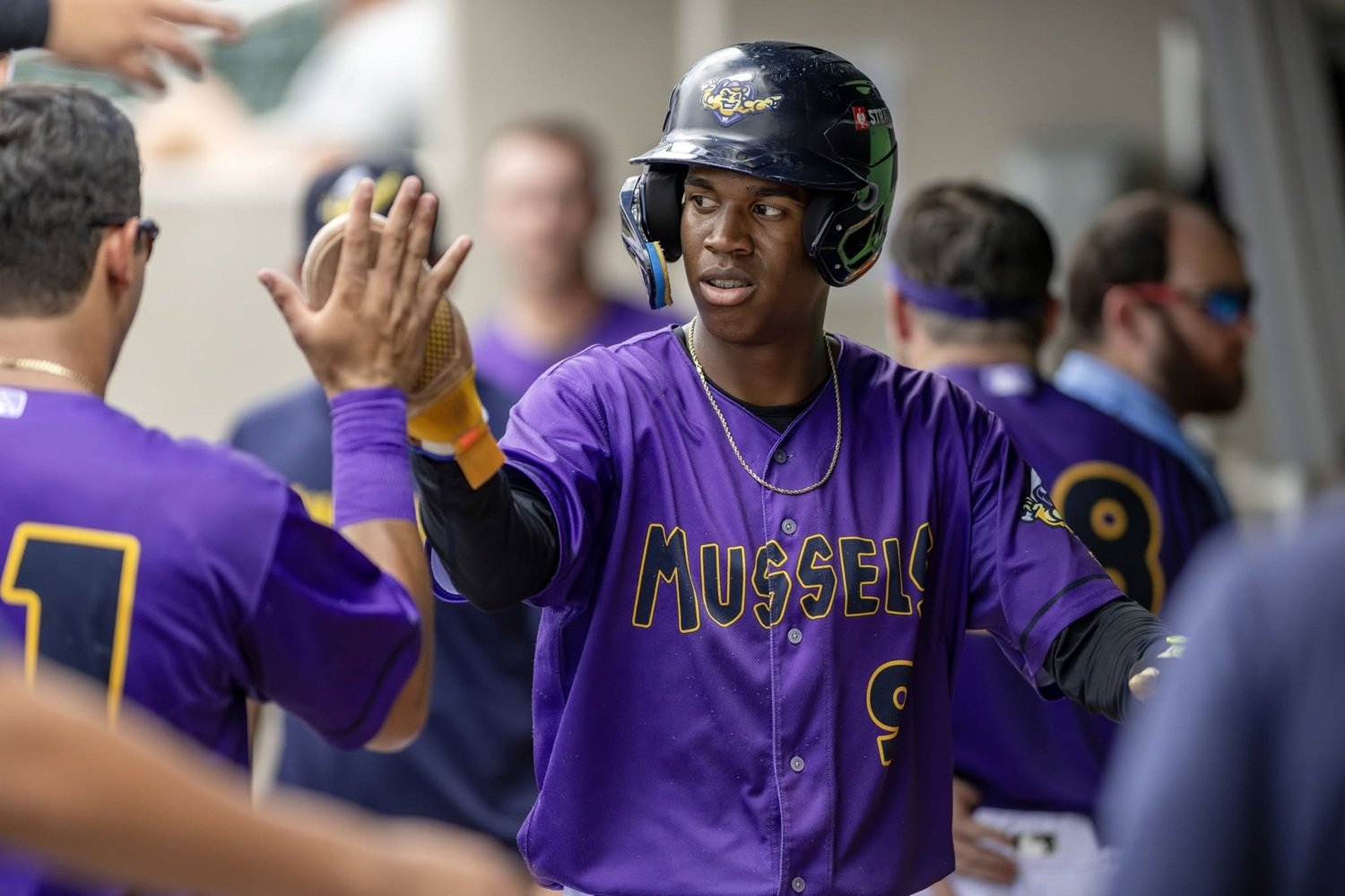 Twins Minor League Report (6/21): Alan Roden and Orlando Arcia, the New Bash Brothers? - Minor Leagues
