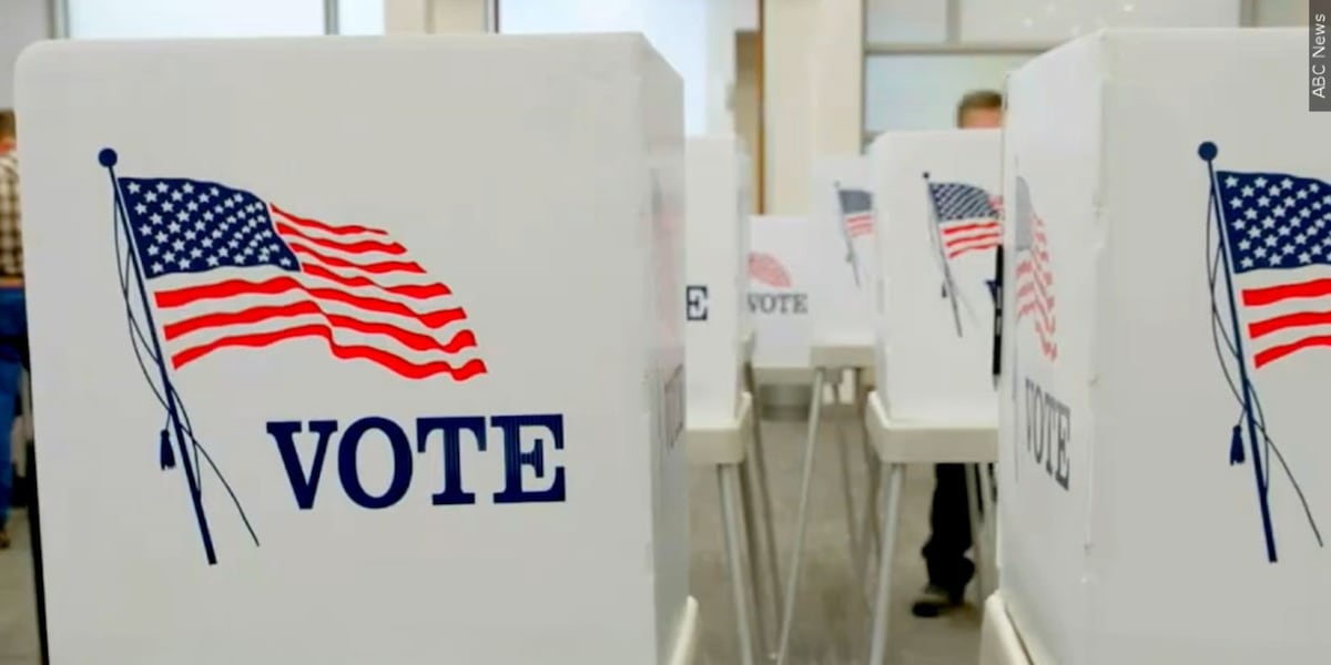 Field set for Tallahassee, state races as election qualifying deadline passes Friday