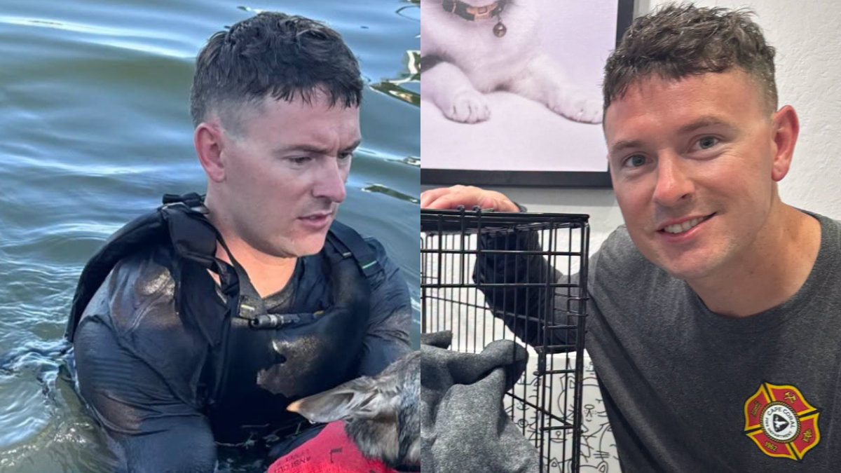 Florida Firefighter Makes Unbelievable Discovery Trying to Save Dog – InspireMore