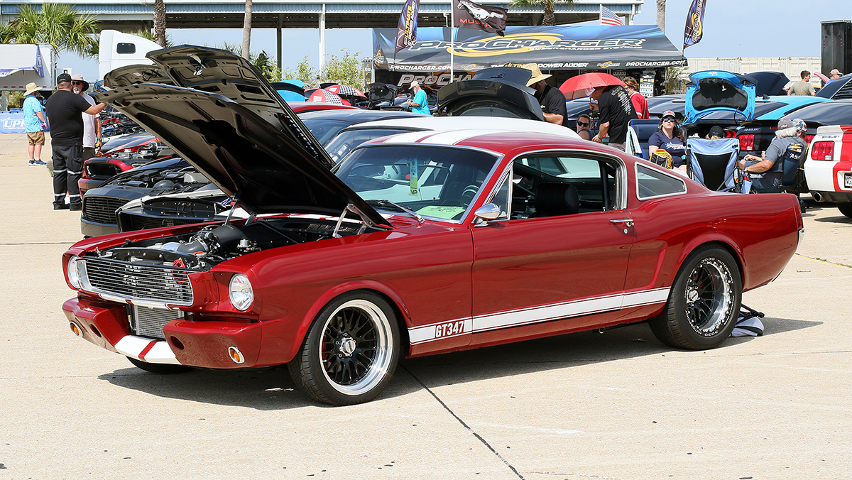Cars on display at Mustang Week