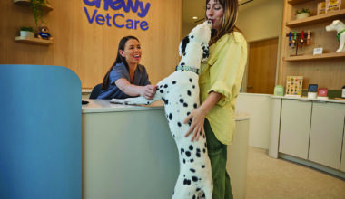 Chewy Vet Care sets opening for its first Jacksonville clinic.