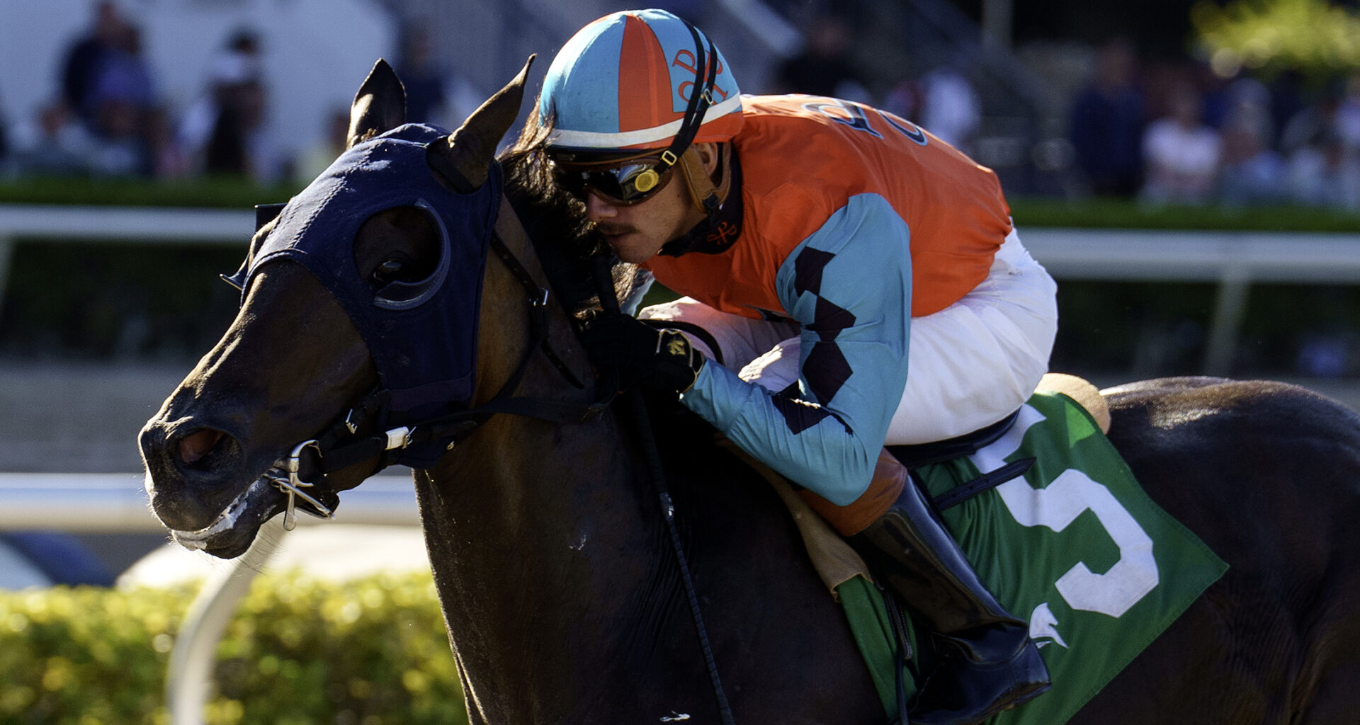 Closely cropped headshot of Florida-bred Thoroughbred Chicken Dance and jockey Diego Herrera galloping to the wire, outlasting competition to win the 2026 Not Surprising at Gulfstream Park. (Photo: ©G Sonny Hughes)