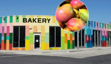 Zak the Baker’s famous Mango Trade is back to turn your backyard bounty to artisanal bread