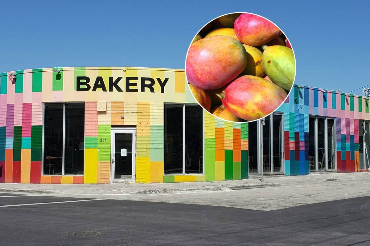 Zak the Baker’s famous Mango Trade is back to turn your backyard bounty to artisanal bread