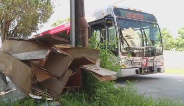 Illegal dumping is a crime, and the city is fighting back, Jacksonville blight manager says
