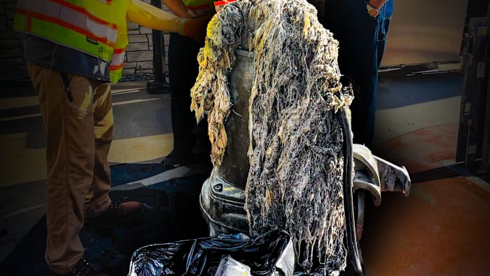 Massive ‘gag-inducing glob’ pulled from Central Florida sewer pump