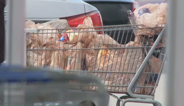 Florida’s SNAP program may be in danger due to high error rates