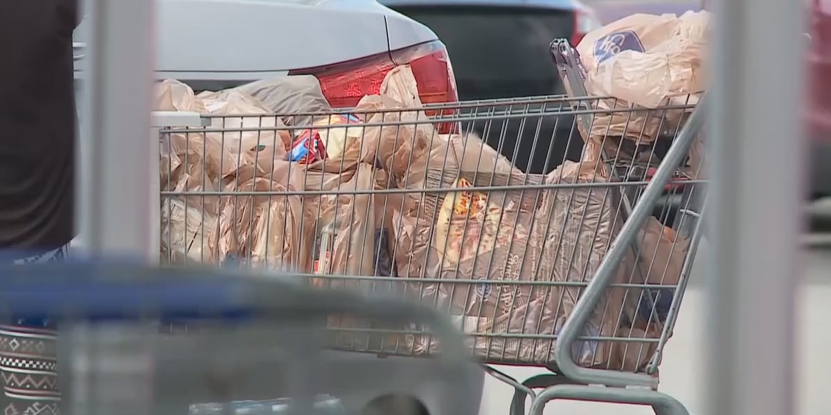 Florida’s SNAP program may be in danger due to high error rates