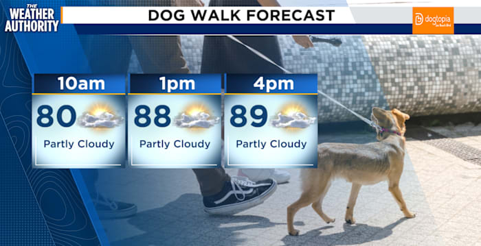 Dry, warm conditions on Sunday in Northeast Florida, Southeast Georgia