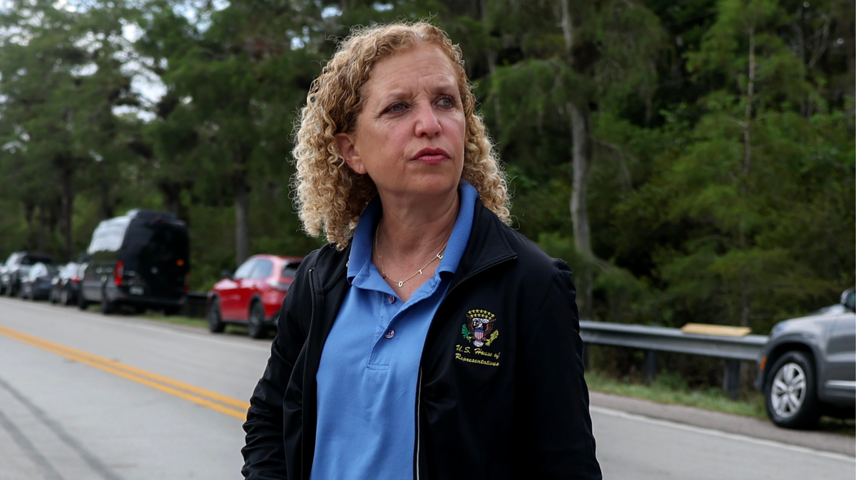 Will Black candidates consolidate to beat Wasserman Schultz?