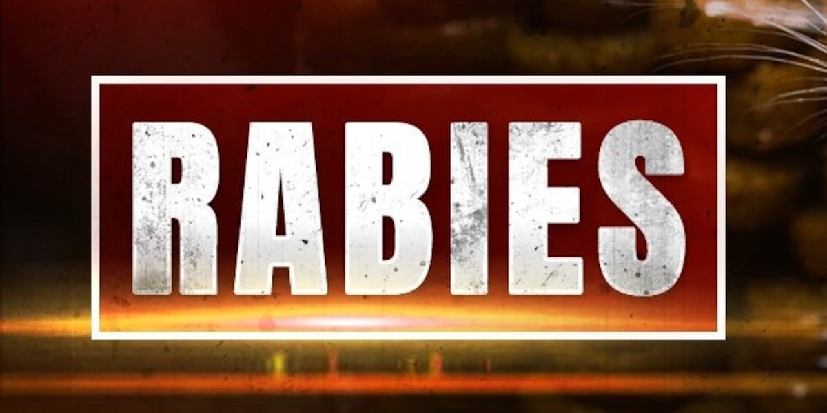 Rabies advisory issued in Charlotte County after raccoon tests positive