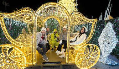 Enchant Christmas in St. Pete featuring a carriage made of lights