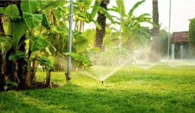 Pinellas extends extreme water restrictions as drought continues
