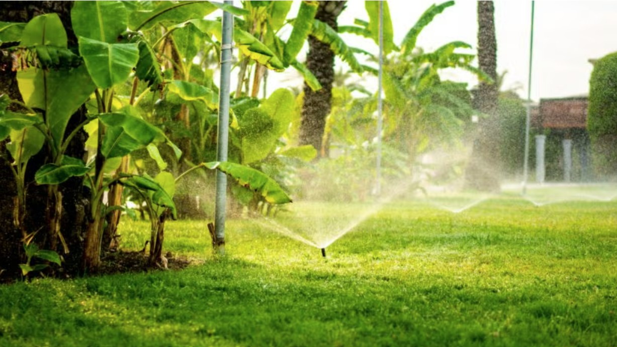 Pinellas extends extreme water restrictions as drought continues