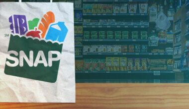 Florida to invest millions into AI detection system to regulate SNAP benefits