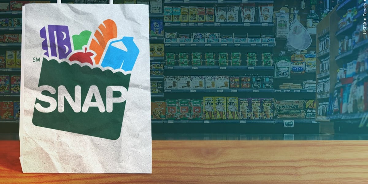 Florida to invest millions into AI detection system to regulate SNAP benefits