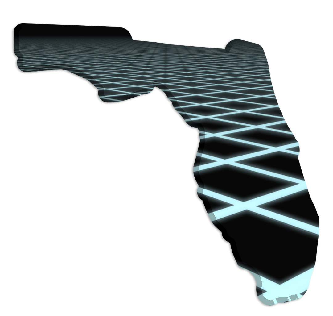FLORDIA REDISTRICTING (8)