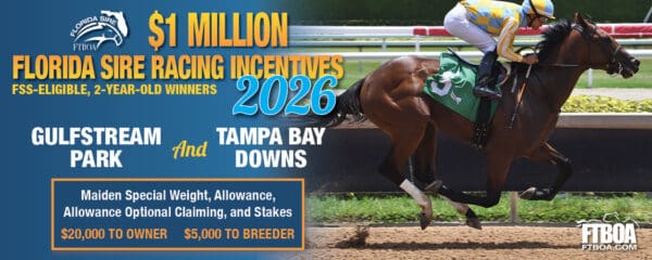 Rectangular ad detailing information for the new $1 Million Florida Sire Racing Incentives Program for the FTBOA. The ad is based around a right-aligned image of the Florida-bred Thoroughbred Strategic Risk (photo by ©Ryan Thompson) with overlapping orange, white, and yellow text aligned to the left of the graphic. More information for the new program can be found at ftboa.com.