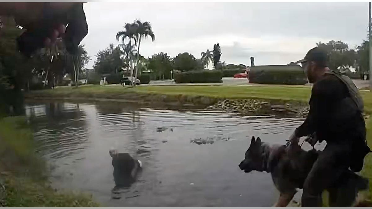 A law enforcement K-9 handler and police dog search near a body of water during an operation to locate a fleeing suspect.