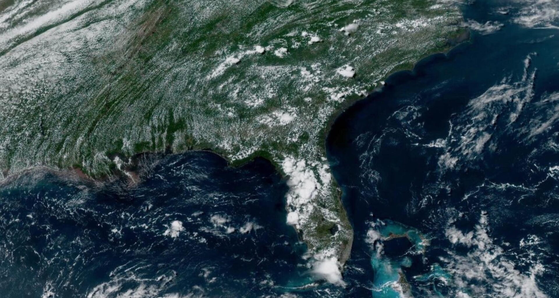 Hurricane season amid El Niño: A guide for UNF students
