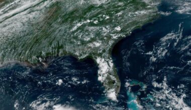 Hurricane season amid El Niño: A guide for UNF students