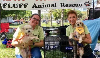 Five ways to give back and get involved in your community