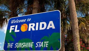Why is called the ‘14th colony’ as America celebrates 250 years – NBC 6 South Florida