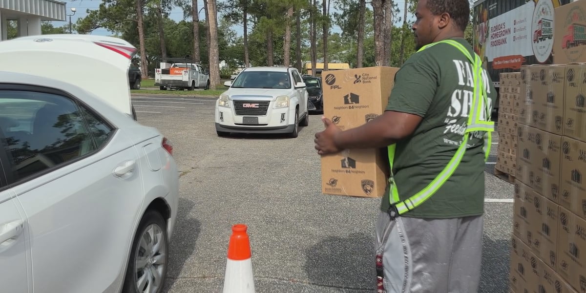 ‘It’ll save your life’: Hundreds show up for free hurricane preparedness distribution