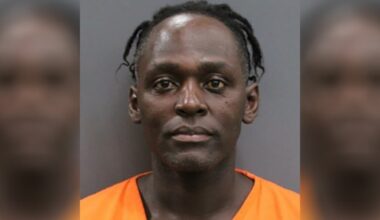Tampa man arrested after dog dies in extreme heat