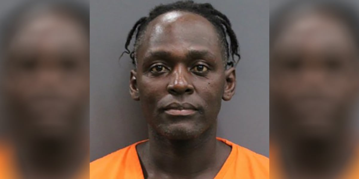 Tampa man arrested after dog dies in extreme heat