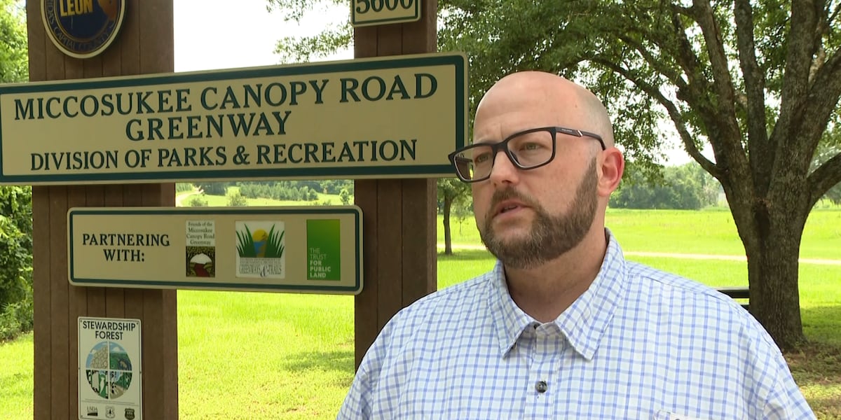 Commissioner shares specifics on impact property tax cuts could have on Leon County services