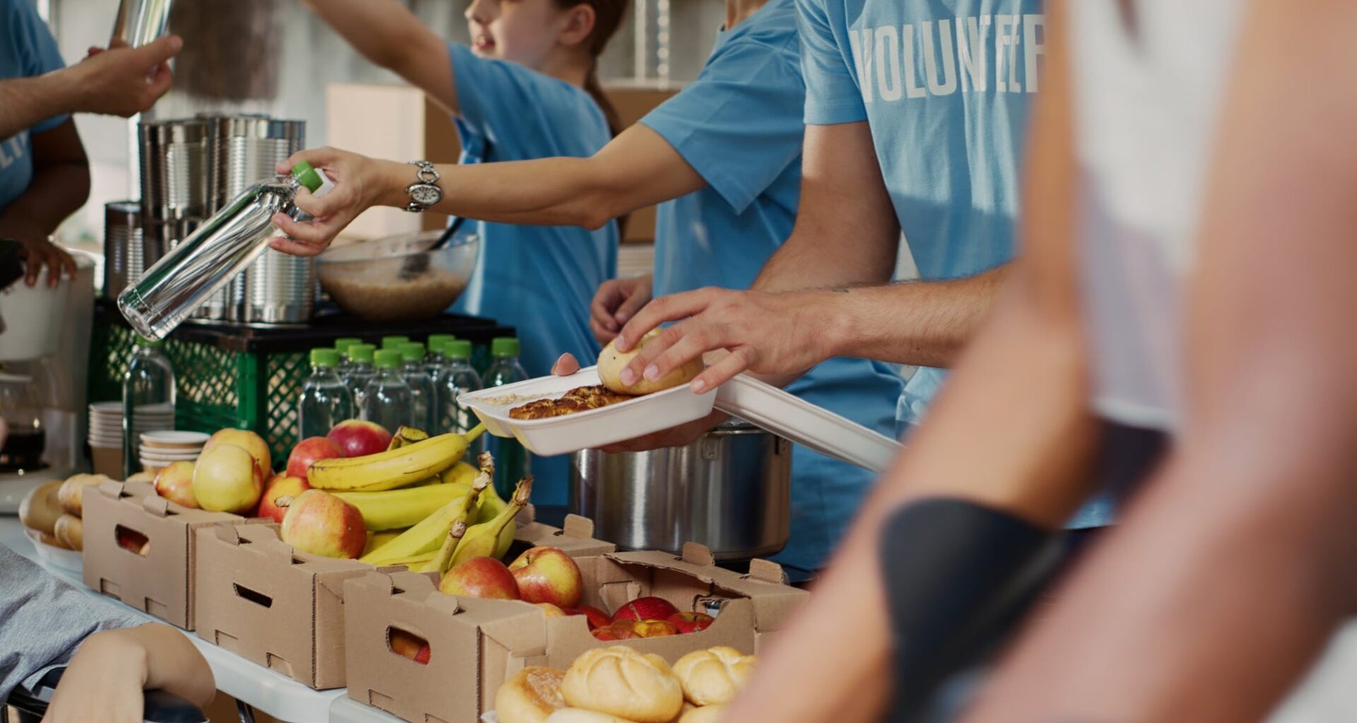 Volunteer Opportunities in Tampa Bay: Engage with Community Initiatives