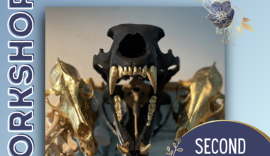 Multi-Media Gold Leafing workshop - St Pete Catalyst