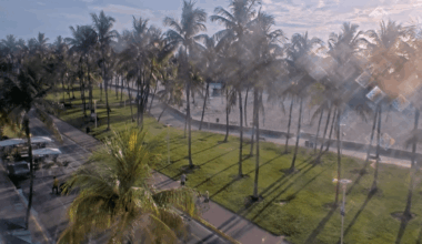 Heat advisory for Broward, Miami-Dade: It’ll feel like 103+ degrees – NBC 6 South Florida
