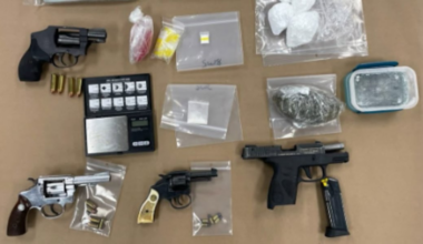LCSO: Man arrested after guns, drugs found amid search of 2 Leon County homes