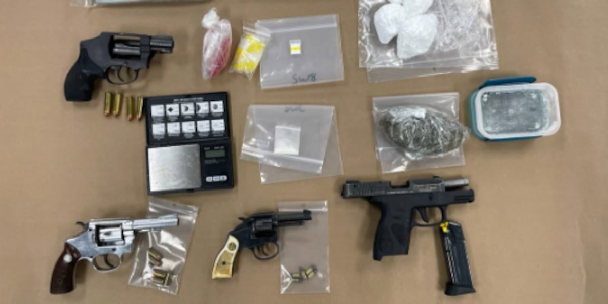LCSO: Man arrested after guns, drugs found amid search of 2 Leon County homes