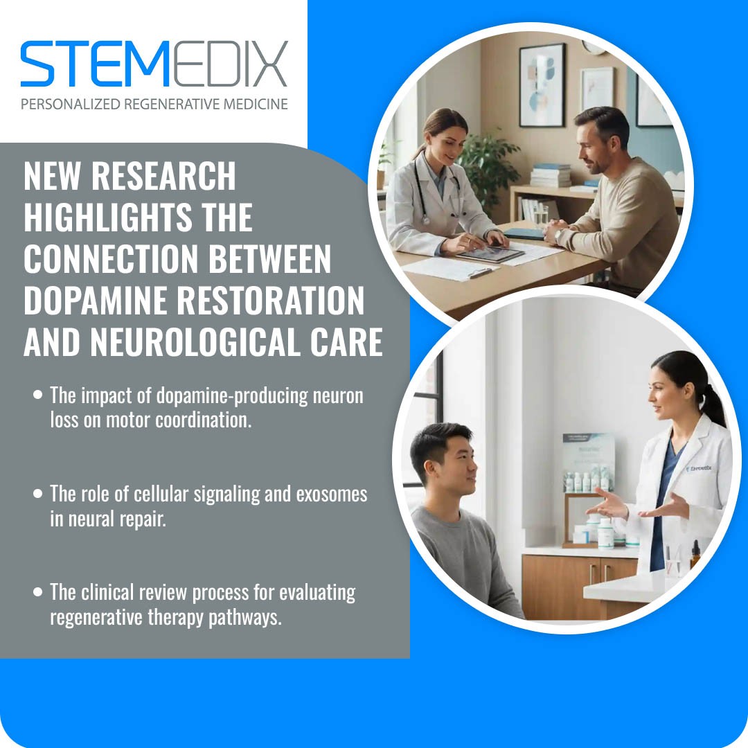 Stemedix 2 v2.jpg