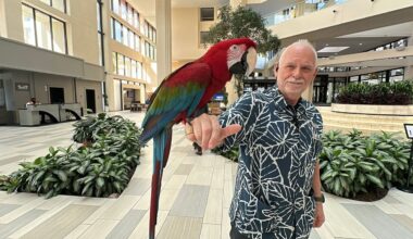 From the moment guests arrive at the Hyatt Regency Grand Cypress Resort, they get a warm welcome from a local celebrity, their lobby ambassador, Merlot, a red, green and blue long-tailed macaw. (Spectrum News/Massiel Leyva)