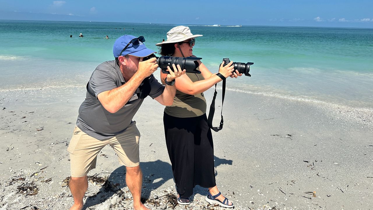 Photographers worry about proposed St. Pete Beach ordinance