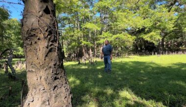 Ned Hancock on his property in Hardee County. (Spectrum News)