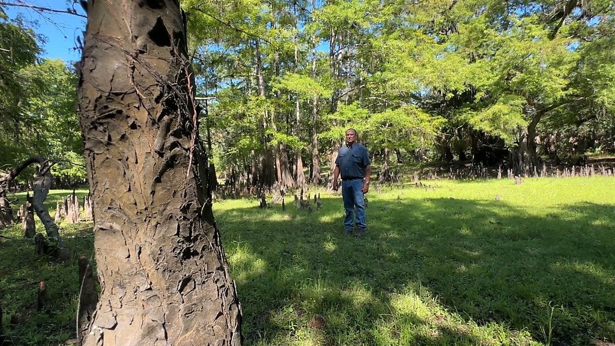 Ned Hancock on his property in Hardee County. (Spectrum News)