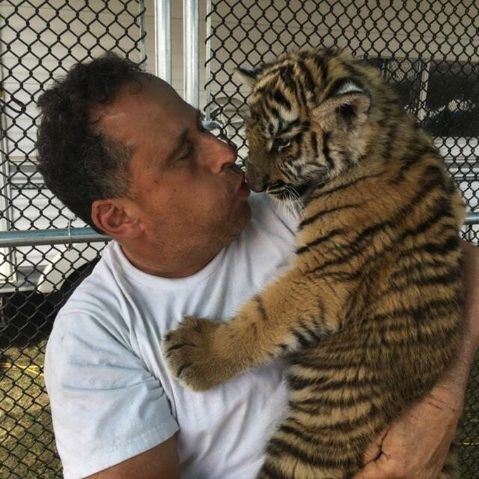 Larry Wallach holds a juvenile tiger at his home in East Rockaway, N.Y. Credit: Courtesy of Bobby Zigman